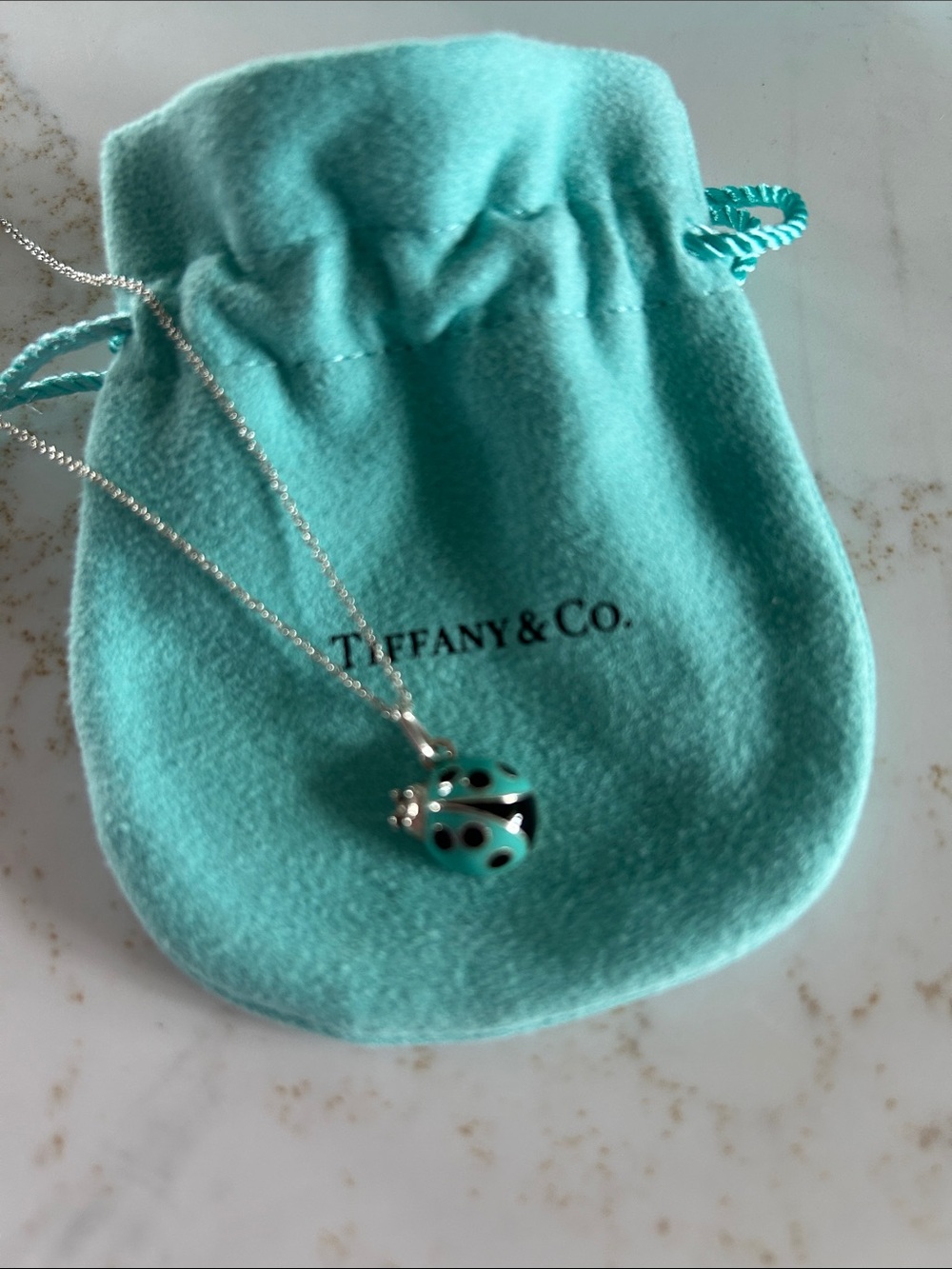 Tiffany & Co. Silver Necklace with Signature Teal Packaging